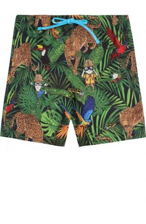 Плавки-шорты с принтом Dolce & Gabbana. Цвет: зеленый