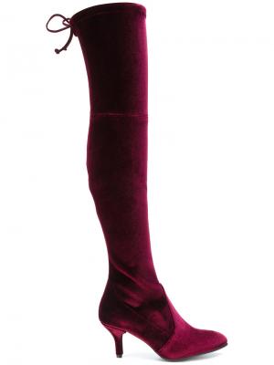 Эластичные сапоги со шнурком Stuart Weitzman. Цвет: розовый и фиолетовый