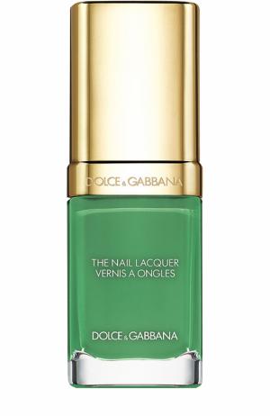 Лак для ногтей, оттенок 724 Green Rock Dolce & Gabbana. Цвет: бесцветный