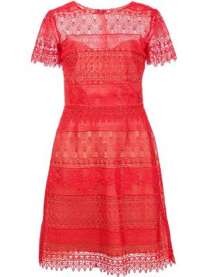 Платье с вышивкой Marchesa Notte. Цвет: красный