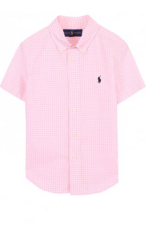 Хлопковая рубашка с принтом и воротником button down Polo Ralph Lauren. Цвет: розовый