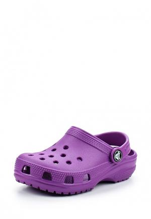 Сабо Crocs. Цвет: фиолетовый