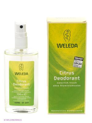 Цитрусовый дезодорант Weleda. Цвет: салатовый